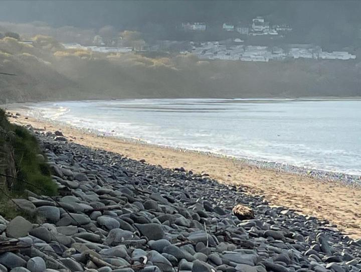 Swn Y Don New Quay New Quay (Ceredigion) Exterior foto